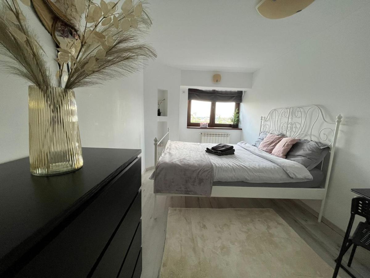 City Center Privat-Sauna Familyconcept 이아시 외부 사진